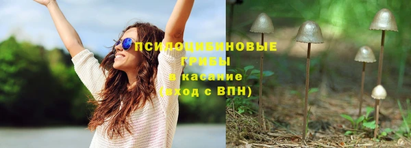 прущие крисы Алзамай