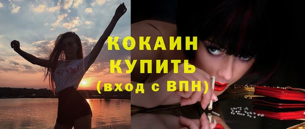 соль ск Алексеевка
