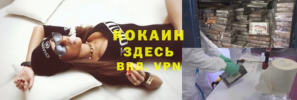 соль ск Алексеевка